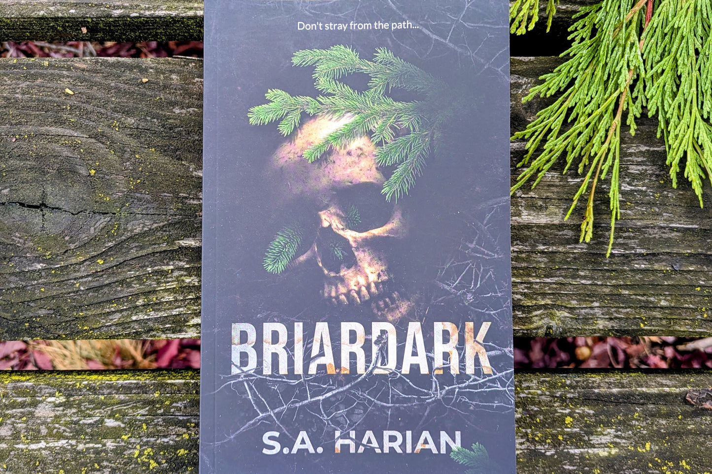 Book cover of 'Briardark' by S.A. Harian with a skull and greenery design on a wooden surface.
