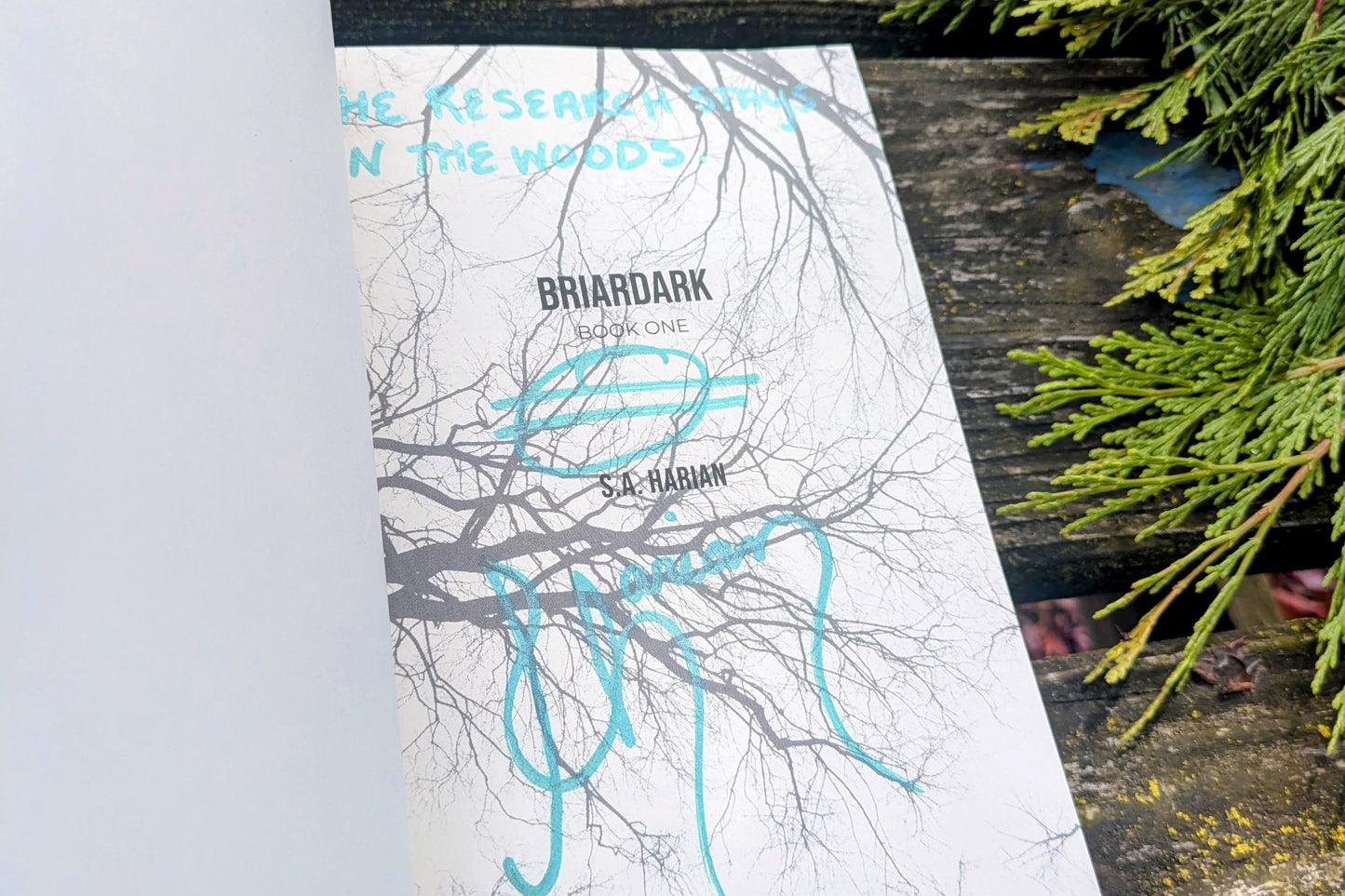 Book 'Briardark' by S.A. Harian on a wooden surface with greenery.
