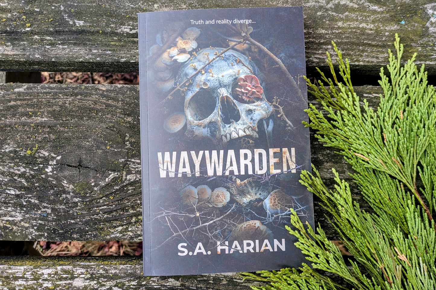 Book titled 'Waywarden' by S.A. Harian with a skull and floral design on a wooden surface.