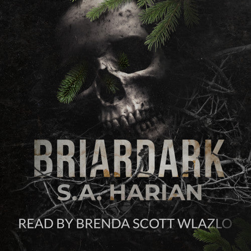 Briardark: Book 1 (audiobook)