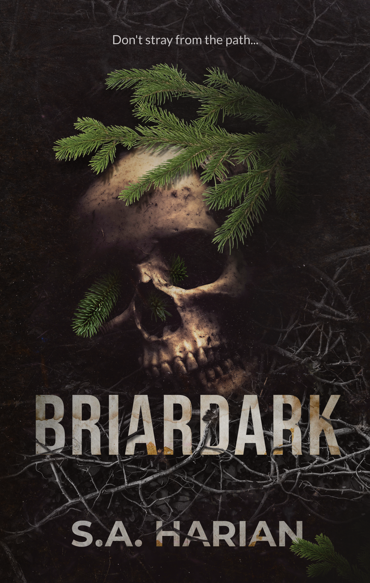 Book cover of 'Briardark' with a skull and branches on a dark background