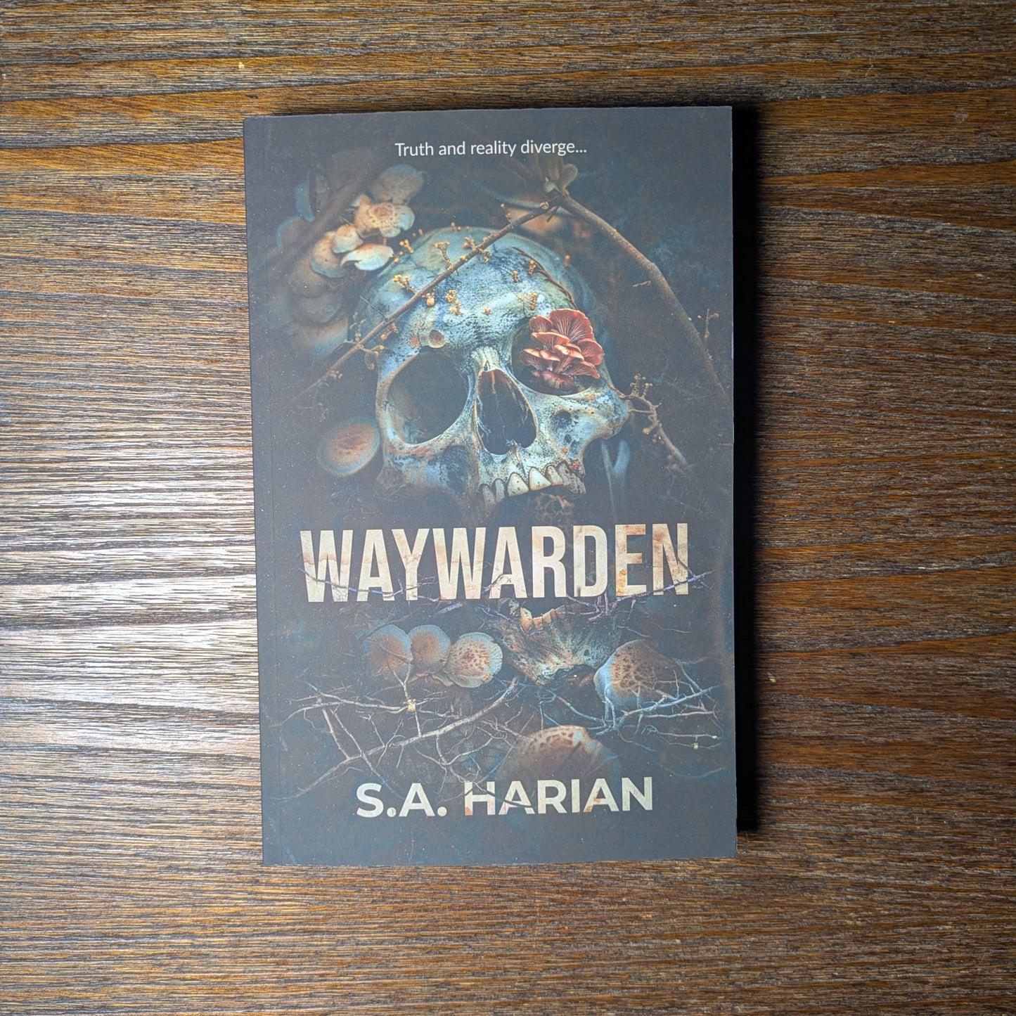 Briardark and Waywarden Paperback Bundle: Signed, Wrapped, and Sealed