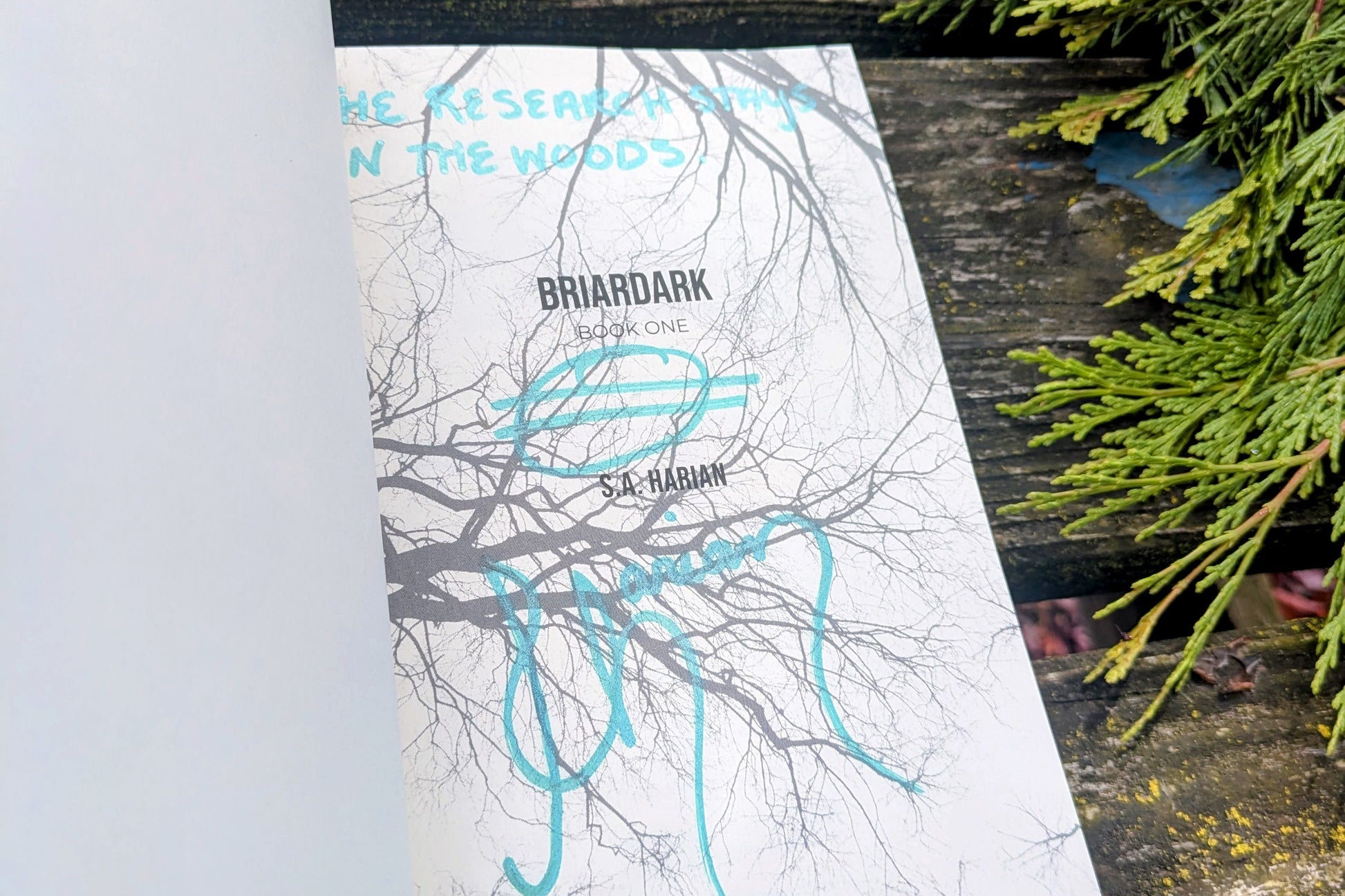 Book  'Briardark' by S.A. Harian on a wooden surface with greenery.