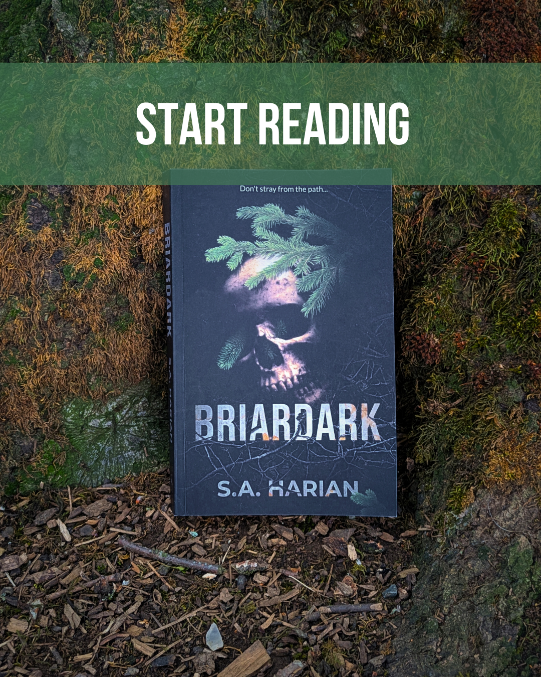 A copy of Briardark propped against a tree