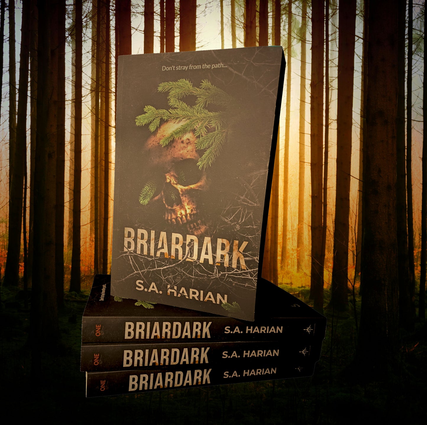 Briardark Paperback: Signed, Wrapped, and Sealed