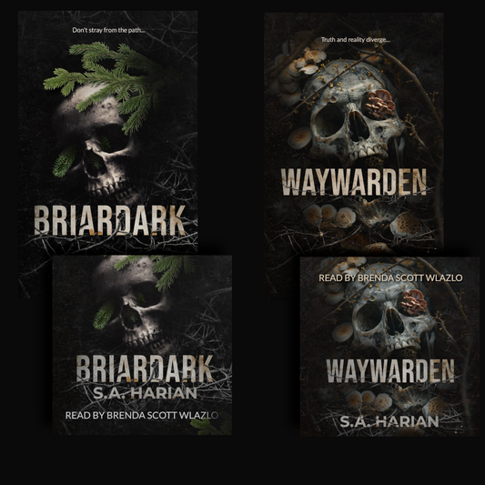 Digital Bundle: Ebooks and Audiobooks