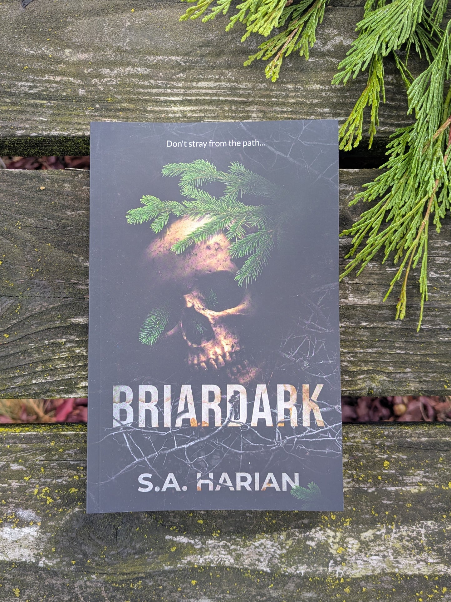 Briardark Paperback: Signed, Wrapped, and Sealed